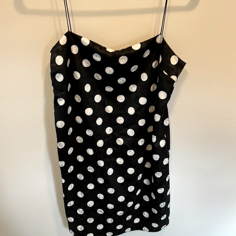 Zara Polka Dot dress